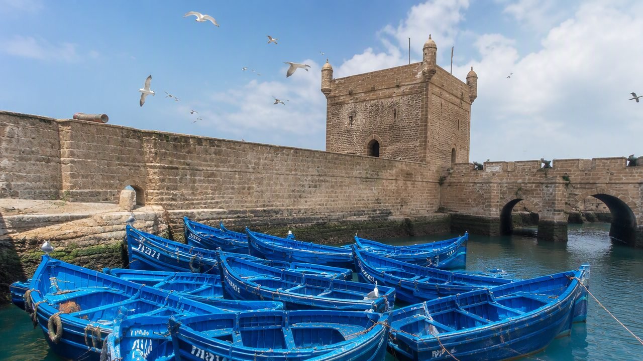 Boat Tour & Mogador Essaouira